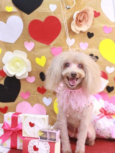 20230201もじょちゃん